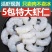 无冰虾仁鲜冻无冰青虾仁商用鲜冻冷冻虾仁去虾线新鲜特大虾仁