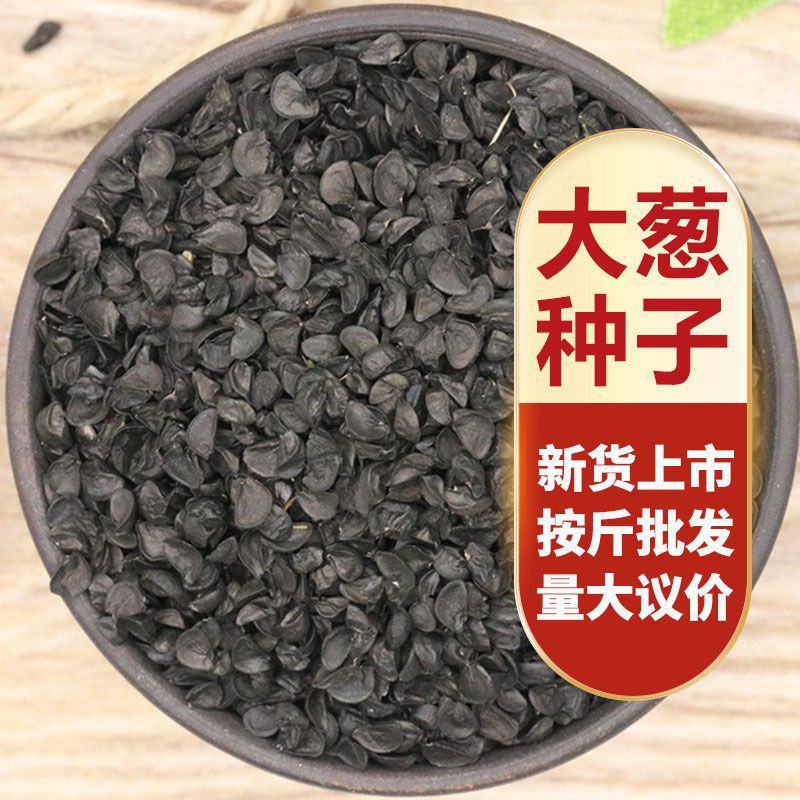 不锈钢100长白大葱种子葱白长抗倒伏高产200g山东