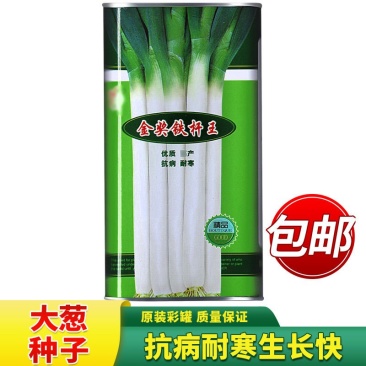 金奖铁杆王优质章丘大葱种子200g山东长白大葱种籽