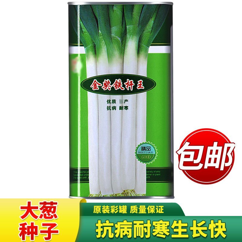 金奖铁杆王优质章丘大葱种子200g山东长白大葱种籽