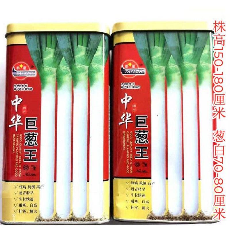大葱种子中华巨葱王大葱种子抗病抗倒伏抗热抗寒产量高的大葱