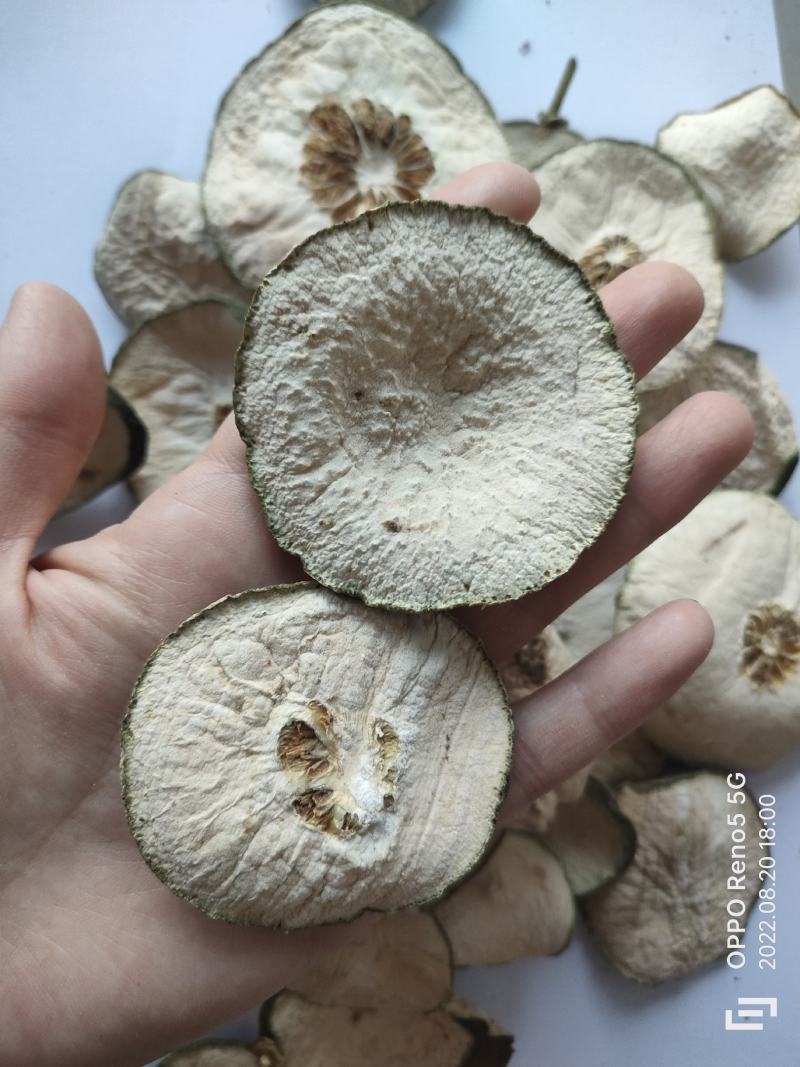 瘦瘦果藤黄果大藤黄果干祥泰药材栈中药材批发零售实物