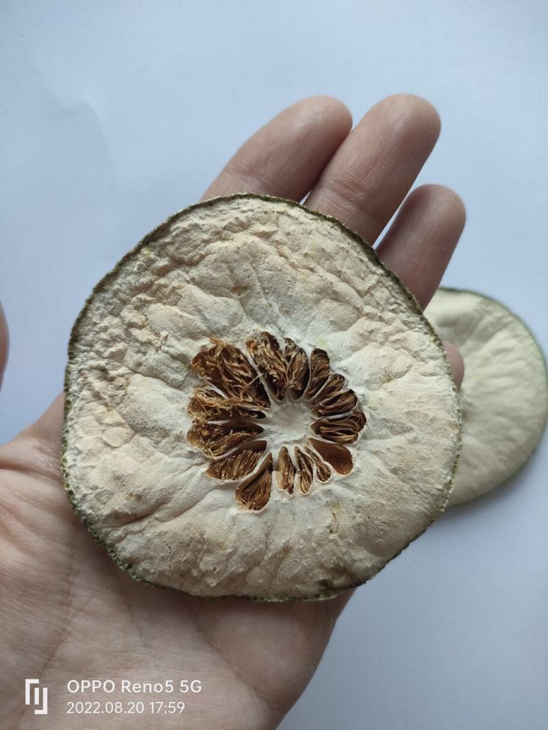 瘦瘦果藤黄果大藤黄果干祥泰药材栈中药材批发零售实物