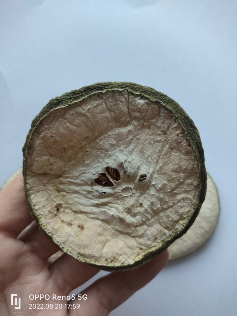 瘦瘦果藤黄果大藤黄果干祥泰药材栈中药材批发零售实物