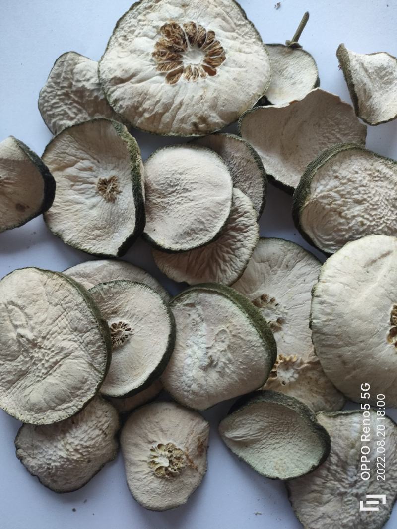 瘦瘦果藤黄果大藤黄果干祥泰药材栈中药材批发零售实物