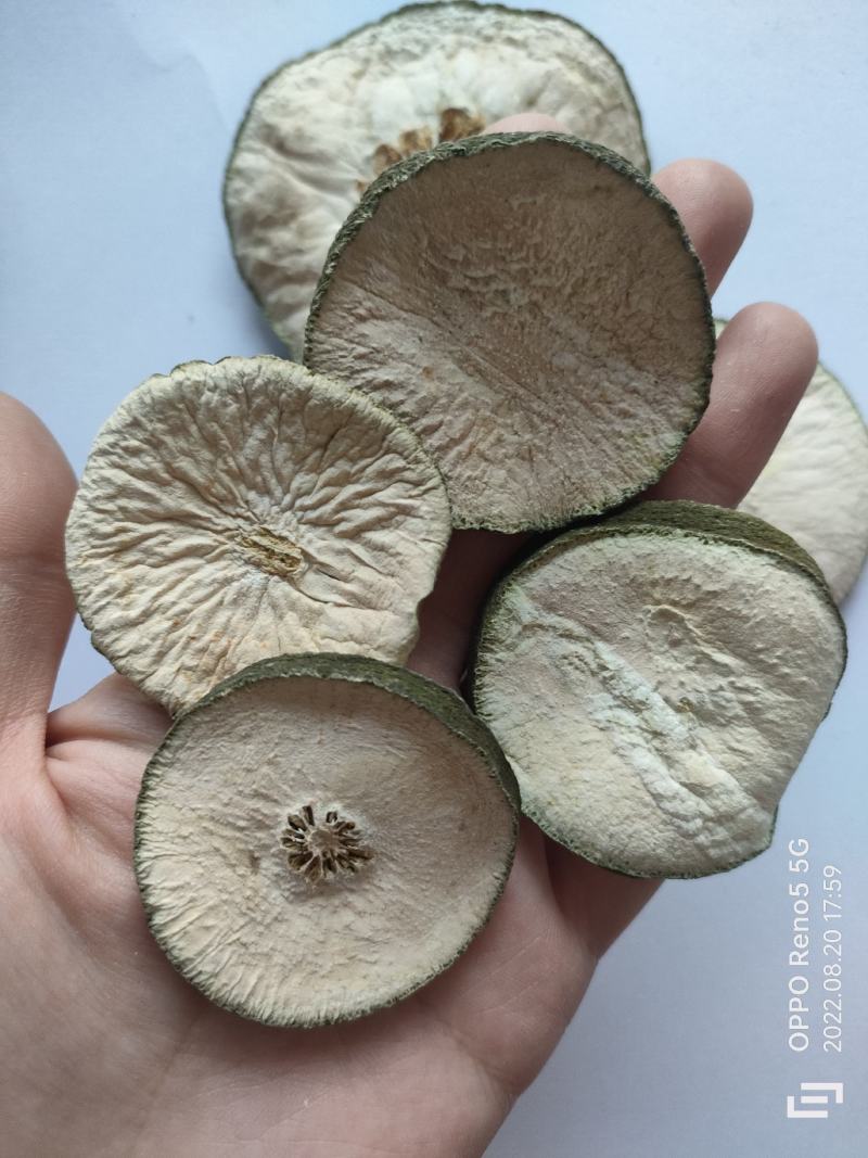 瘦瘦果藤黄果大藤黄果干祥泰药材栈中药材批发零售实物