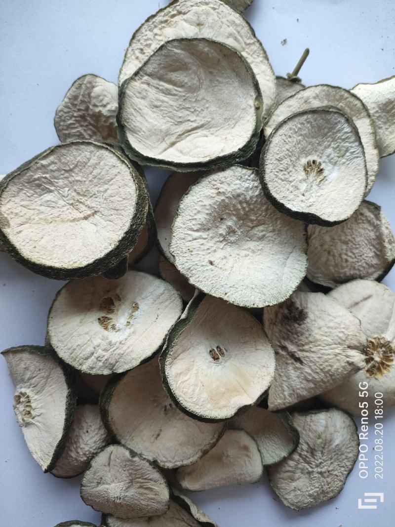 瘦瘦果藤黄果大藤黄果干祥泰药材栈中药材批发零售实物
