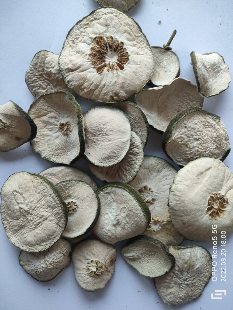 瘦瘦果藤黄果大藤黄果干祥泰药材栈中药材批发零售实物