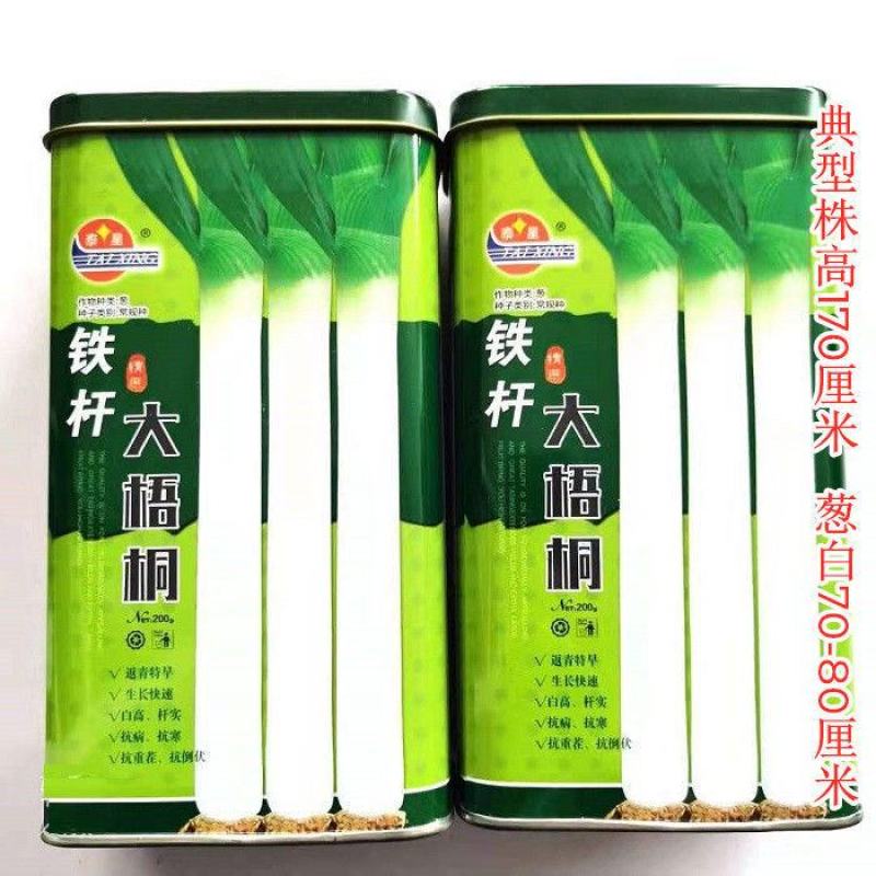 山东章丘大葱种子铁杆大梧桐巨葱种籽四季蔬菜香葱种孑抗病耐