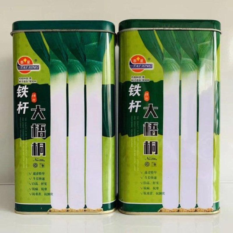 山东章丘大葱种子铁杆大梧桐巨葱种籽四季蔬菜香葱种孑抗病耐