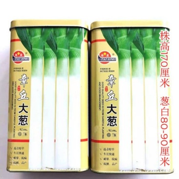 大葱种子原种章丘巨葱王章丘大葱种籽200g白高生长快抗病