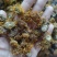 （热销）旋覆花旋复花大货收购量多从优实物拍摄地道药材