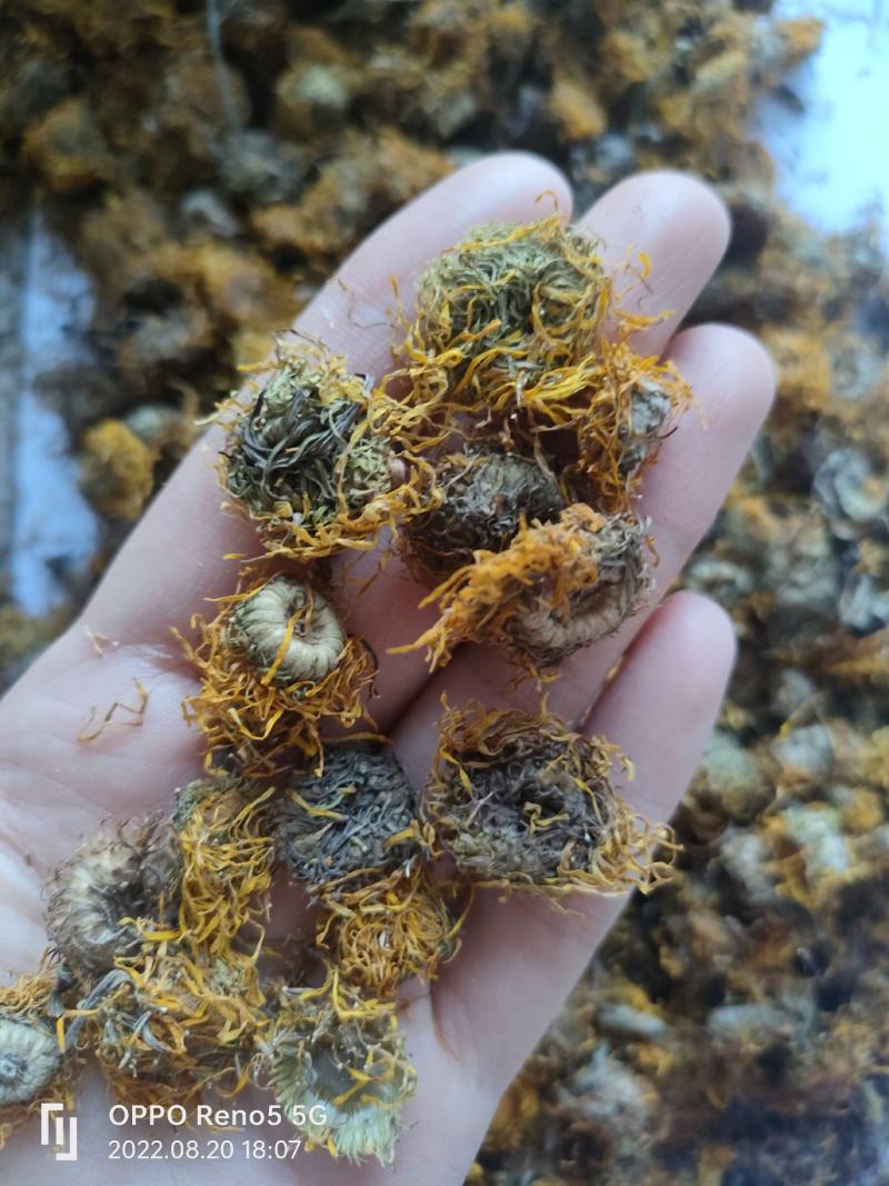 （热销）旋覆花旋复花大货收购量多从优实物拍摄地道药材