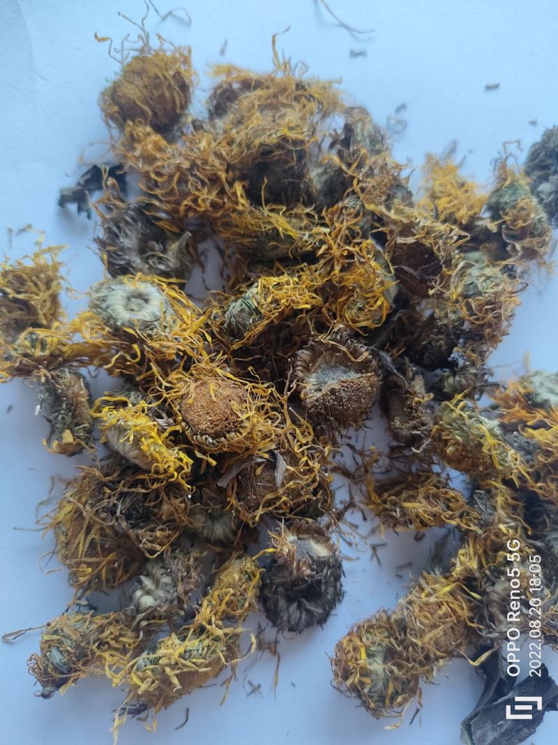 （热销）旋覆花旋复花大货收购量多从优实物拍摄地道药材