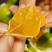 湖北宜昌特早熟蜜橘大量供货中诚信经营保质保量现摘现发