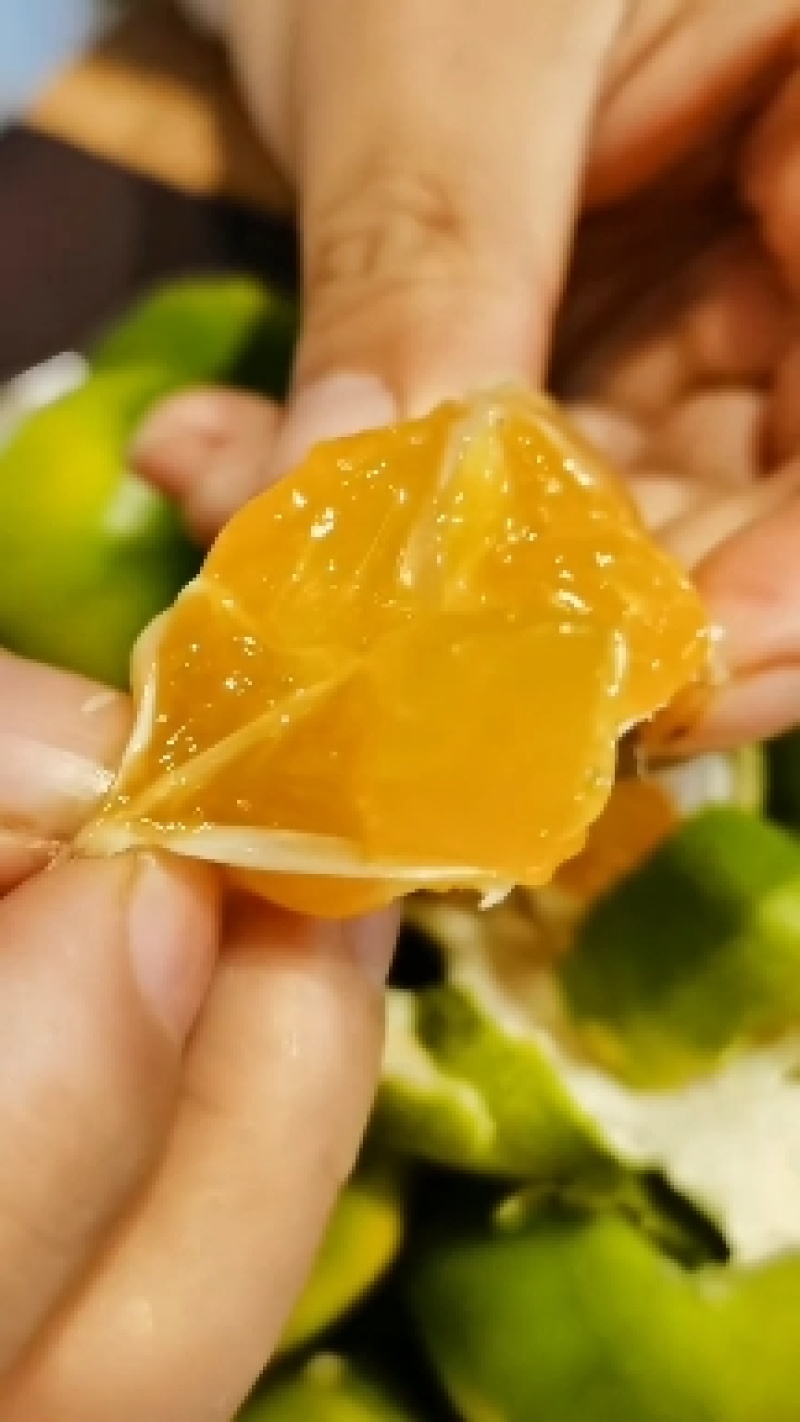 湖北宜昌特早熟蜜橘大量供货中诚信经营保质保量现摘现发