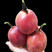 新鲜采摘树上成熟百香果鸡蛋果孕妇水果紫皮果一件代发