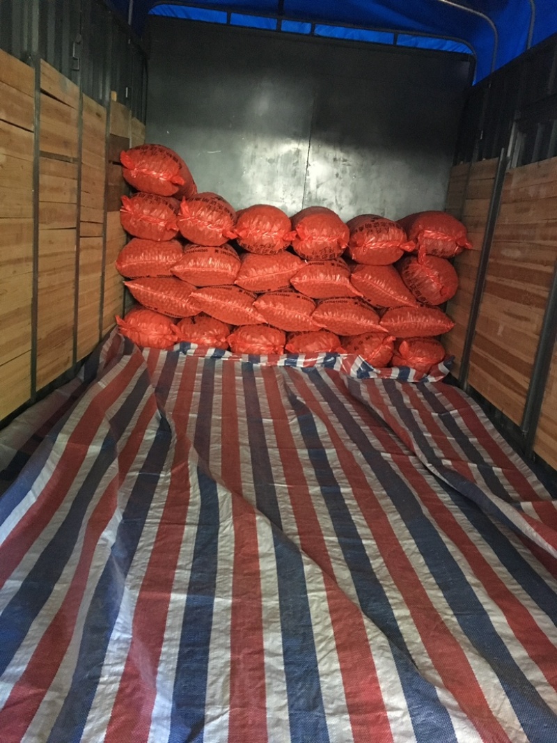 【电商品质】建瓯锥栗高山锥栗处暑红全国发货