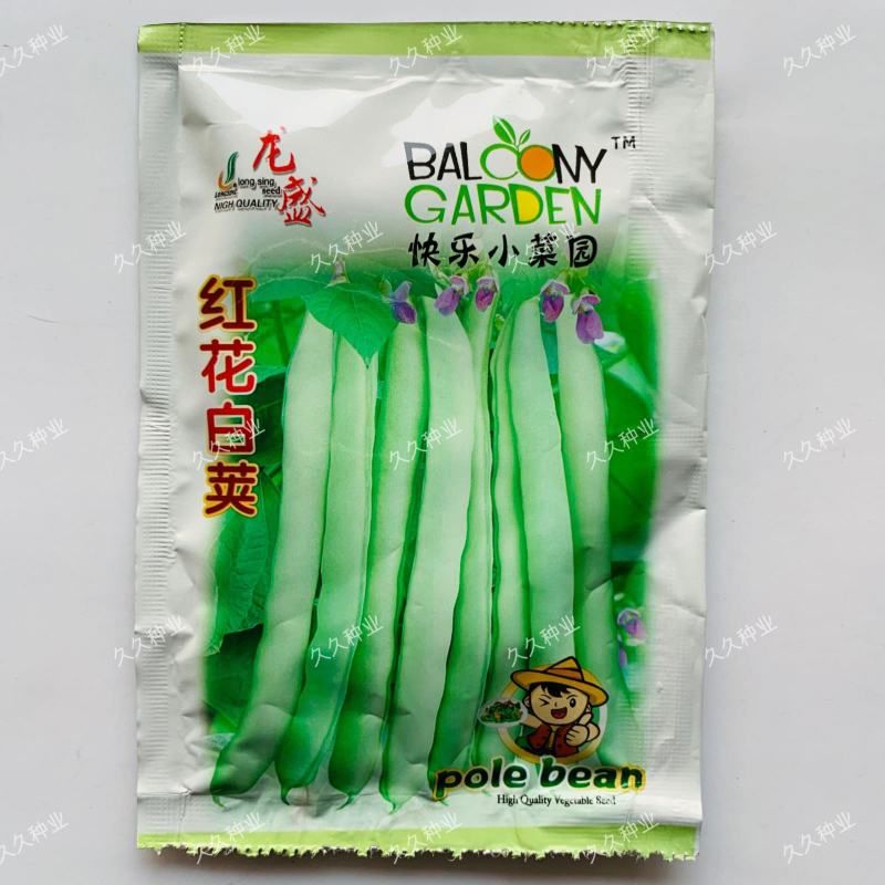 春秋两用红花白荚架豆种子早熟高产荚长四季豆种籽架豆角