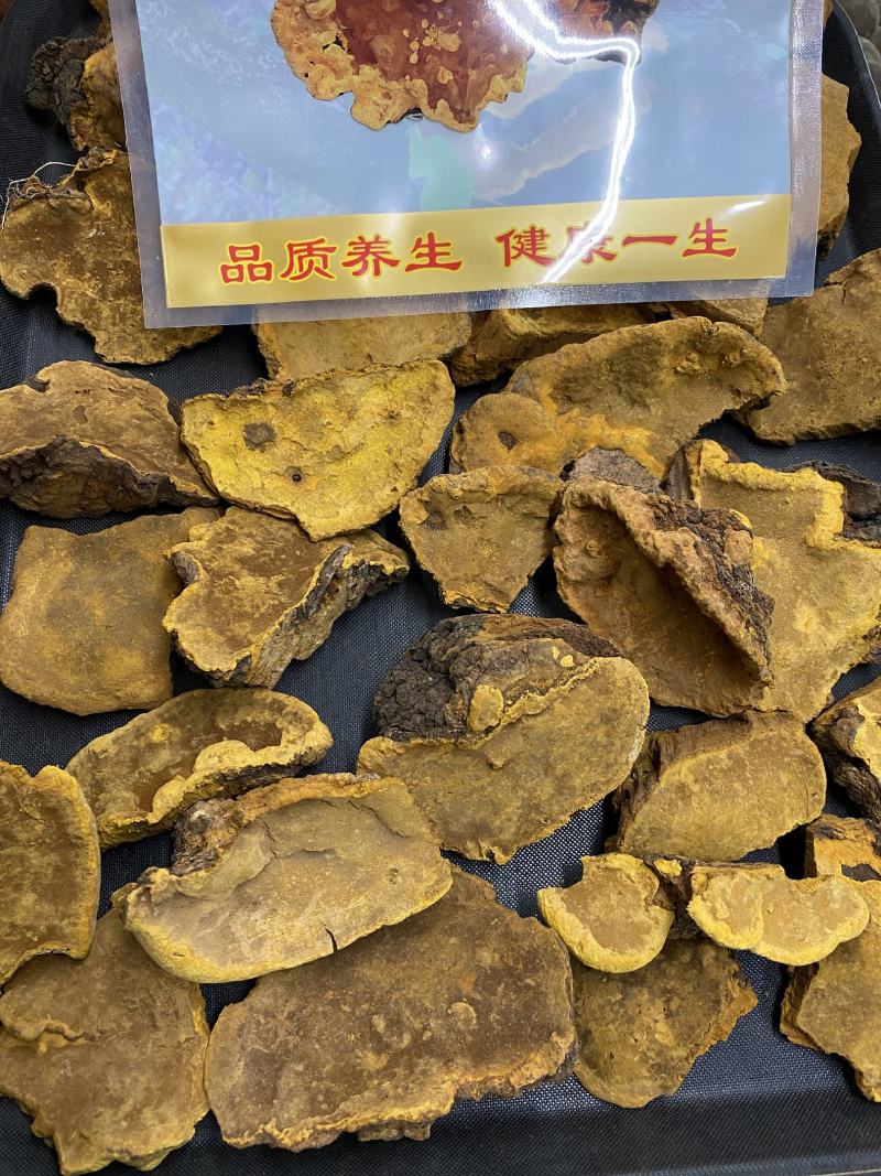 野生桑树桑黄桑树桑黄一公斤起包邮质量保证