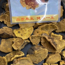 野生桑树桑黄桑树桑黄一公斤起包邮质量保证