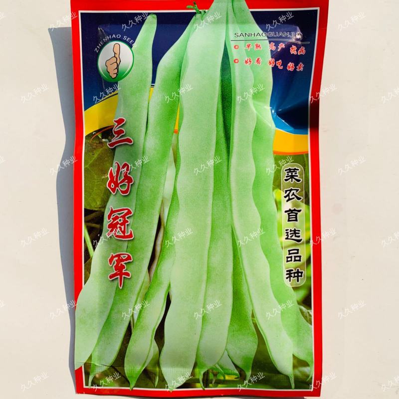 三好冠军芸豆种子春秋种植早熟肉厚高产抗病白嫩荚芸豆