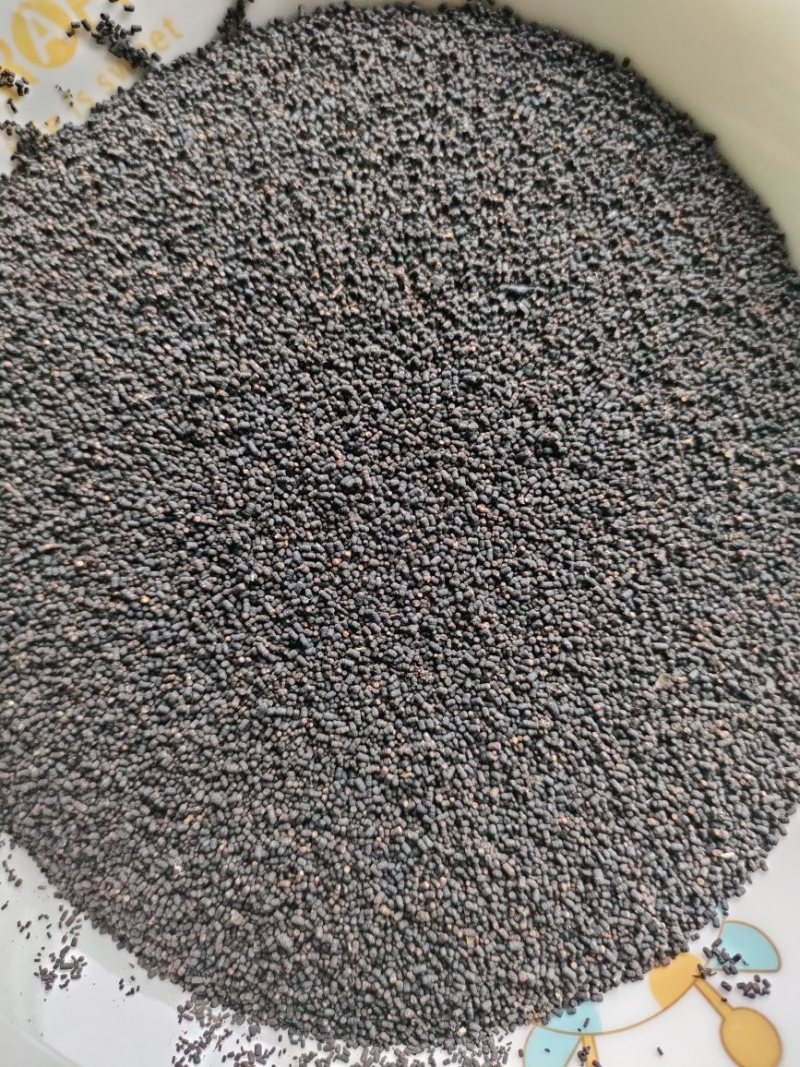 虫茶虫屎荼养生茶大量从优