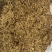 虫茶虫屎荼养生茶大量从优