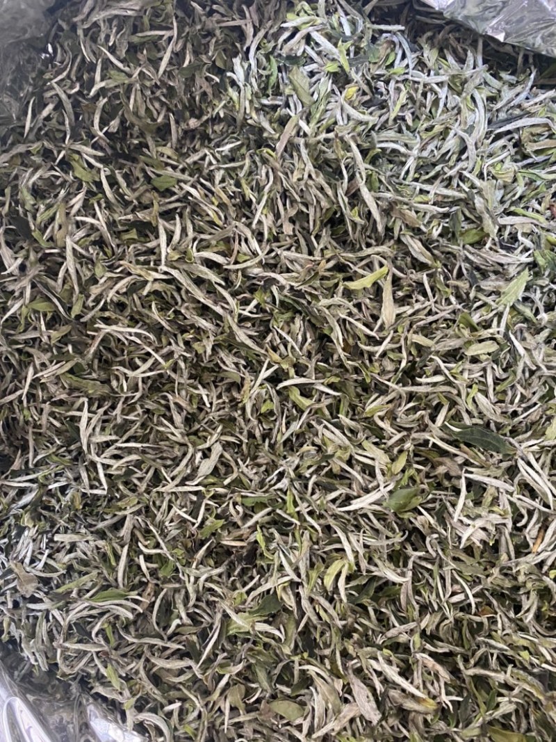 虫茶虫屎荼养生茶大量从优