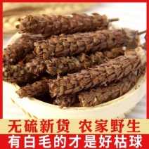 野生夏枯草批发天然无硫纯新货中药材地产夏枯球泡茶白毛夏枯