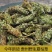 野生夏枯草批发天然无硫纯新货中药材地产夏枯球泡茶白毛夏枯