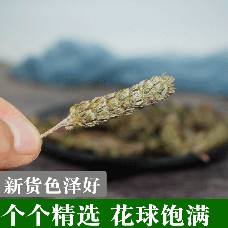 野生夏枯草批发天然无硫纯新货中药材地产夏枯球泡茶白毛夏枯
