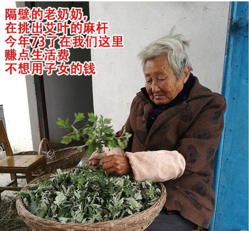 5斤装野生端午艾叶陈艾草叶洗澡泡脚月子驱寒散湿干艾草制艾