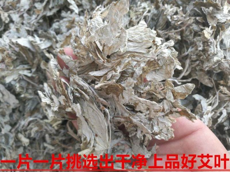 5斤装野生端午艾叶陈艾草叶洗澡泡脚月子驱寒散湿干艾草制艾