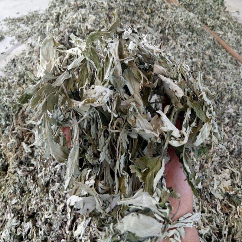 5斤装野生端午艾叶陈艾草叶洗澡泡脚月子驱寒散湿干艾草制艾