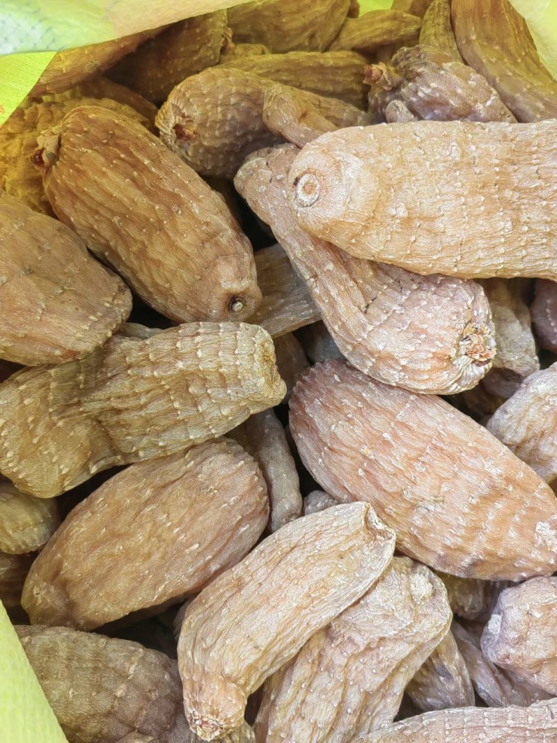 乌天麻