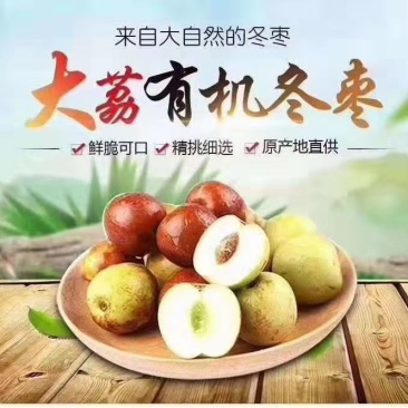大荔大棚冬枣，脆甜可口，色泽光亮，皮毛好，对接全国电商