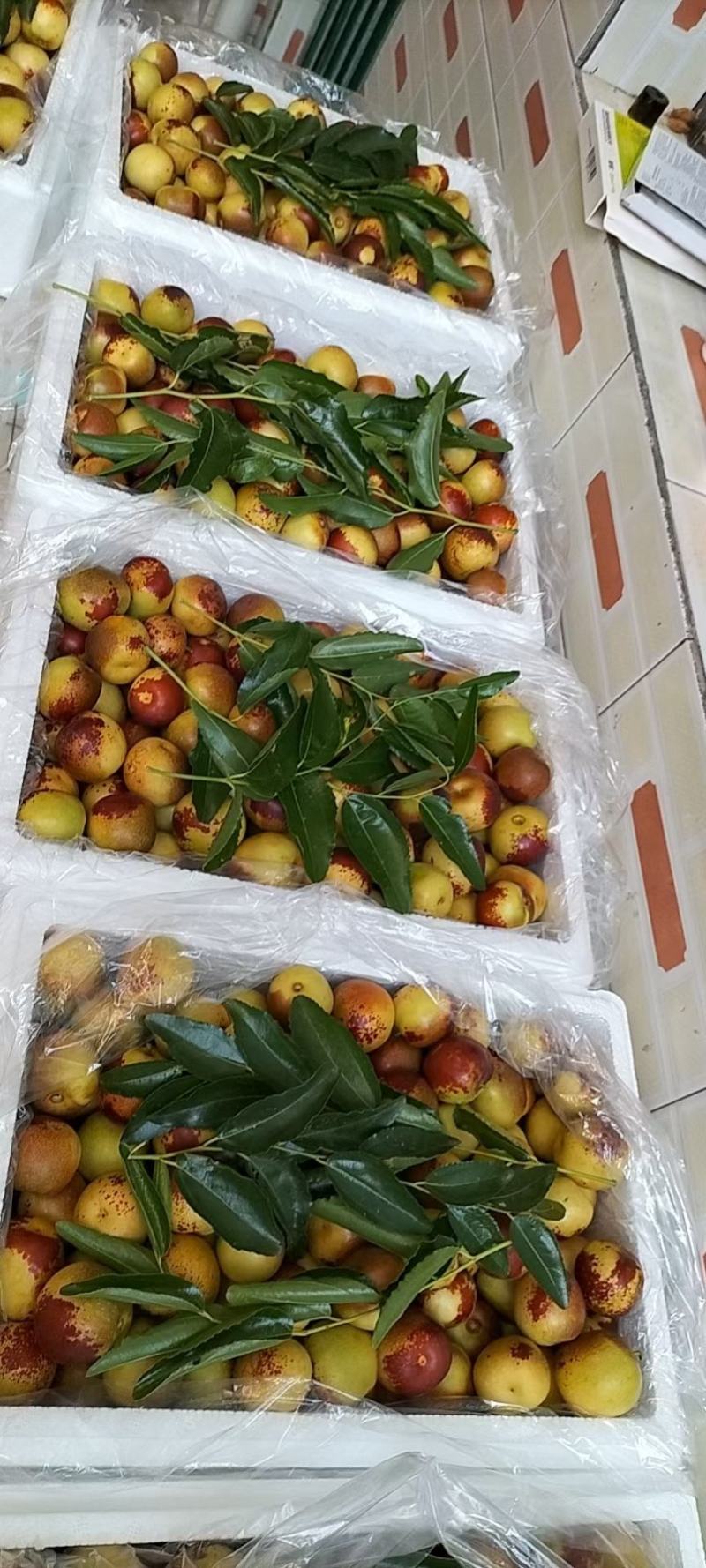 大荔大棚冬枣，脆甜可口，色泽光亮，皮毛好，对接全国电商