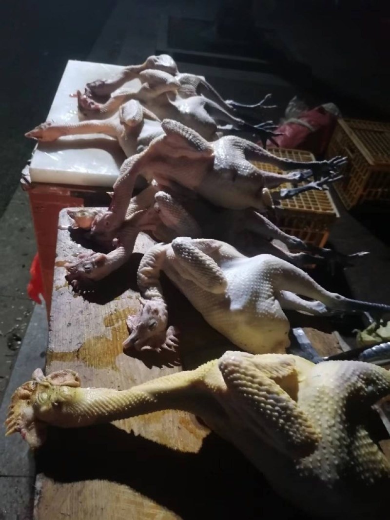 江西鼎胜生态农业常年供应各种规格白条鸡，光鸡，打包发货。