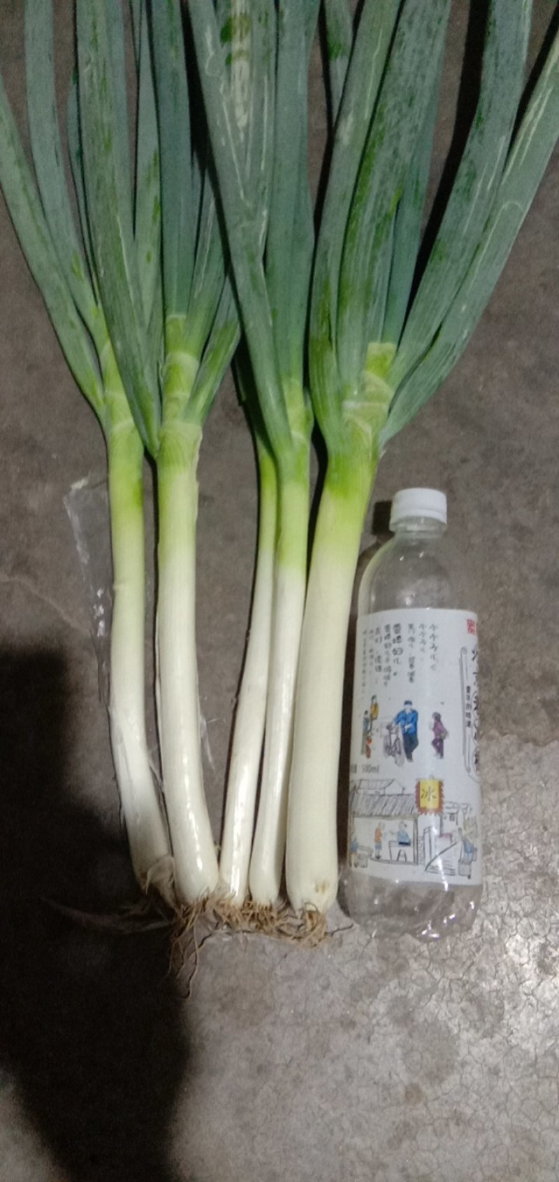 铁杆