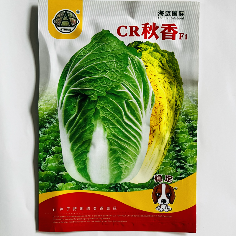 海迈CR秋香白菜种子进口品种黄心大白菜种子