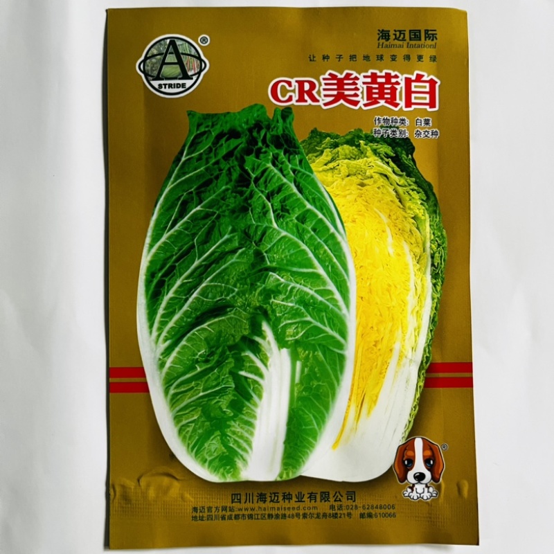 海迈CR秋香白菜种子进口品种黄心大白菜种子