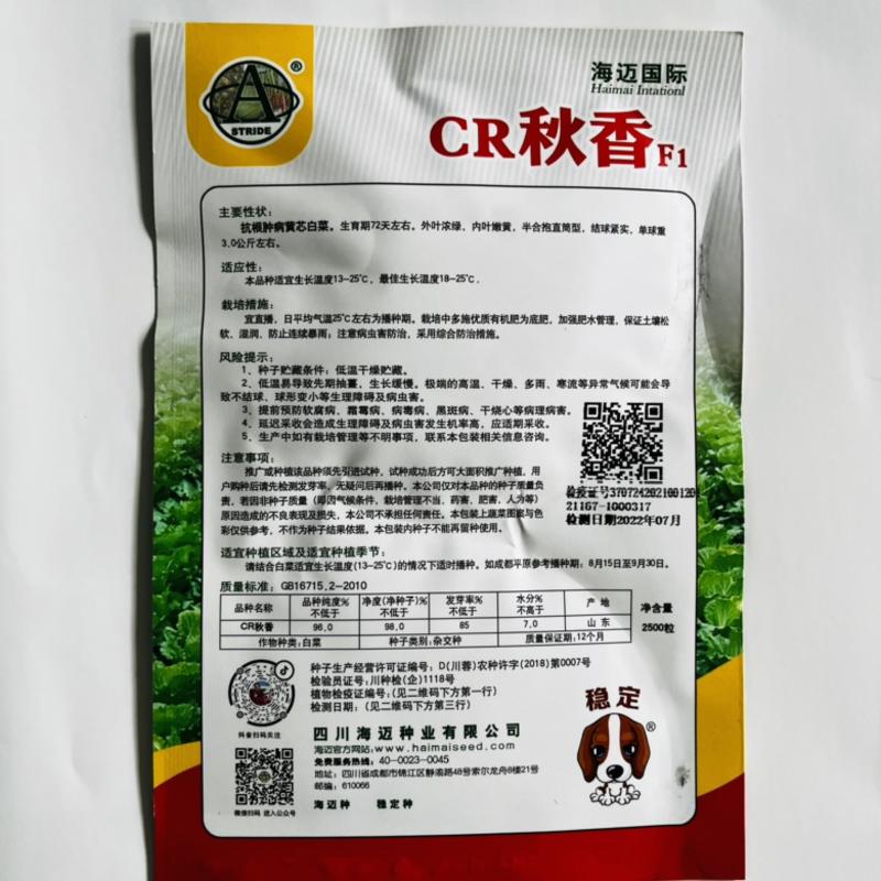 海迈CR秋香白菜种子进口品种黄心大白菜种子