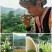 中药材山银花湖南金银花青茶小米花五彩花规格多样批发价位