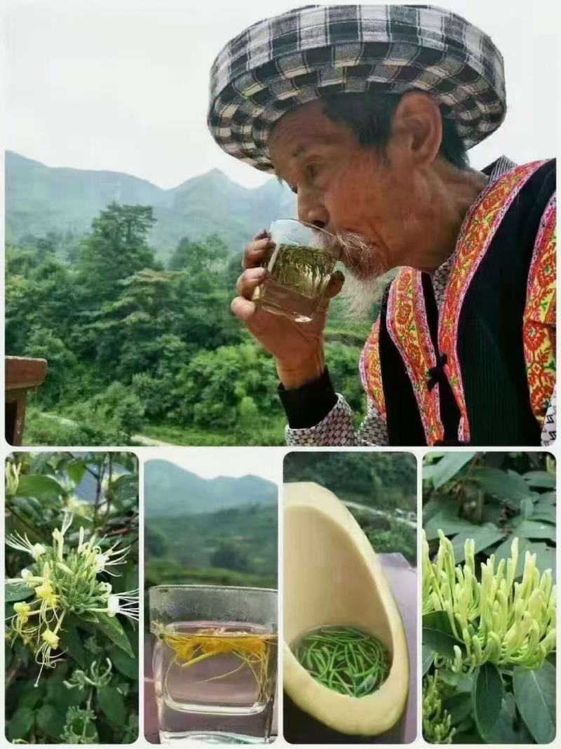 中药材山银花湖南金银花青茶小米花五彩花规格多样批发价位