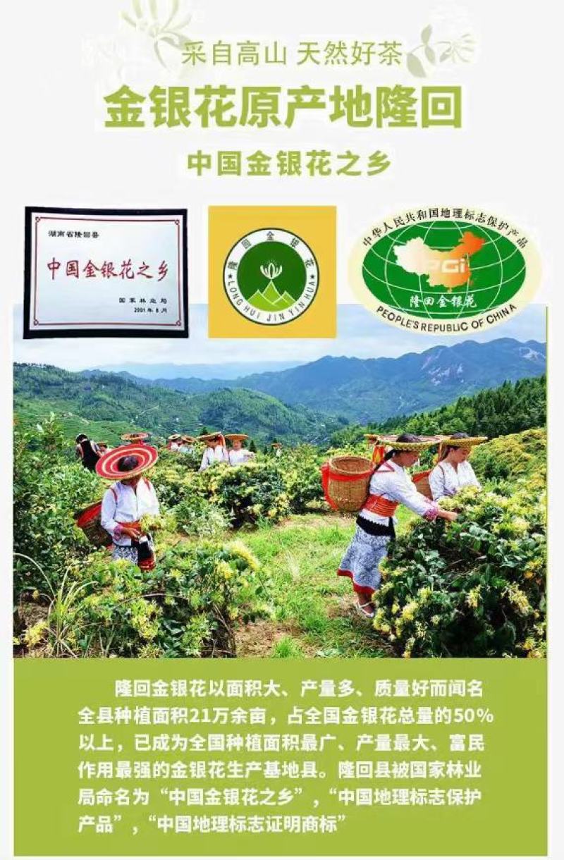 中药材山银花湖南金银花青茶小米花五彩花规格多样批发价位