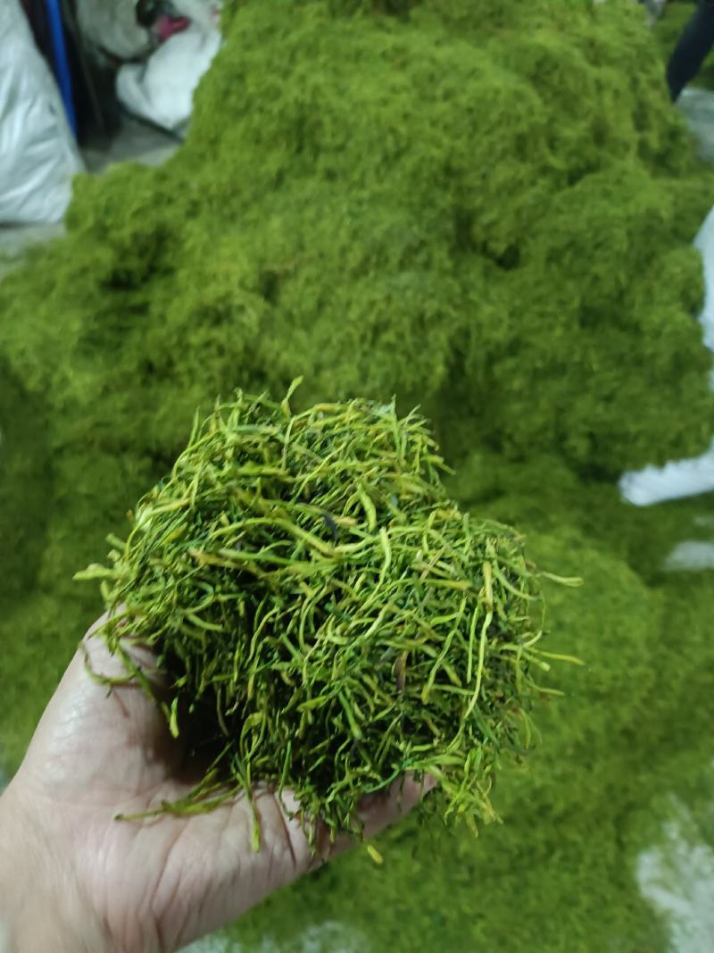 中药材山银花湖南金银花青茶小米花五彩花规格多样批发价位