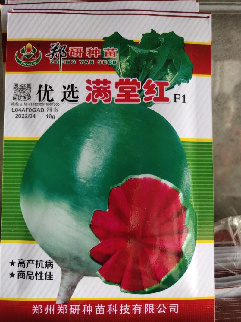 满堂红萝卜种子，