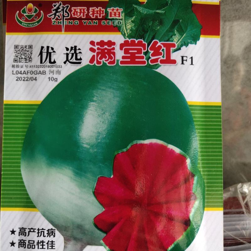 满堂红萝卜种子，
