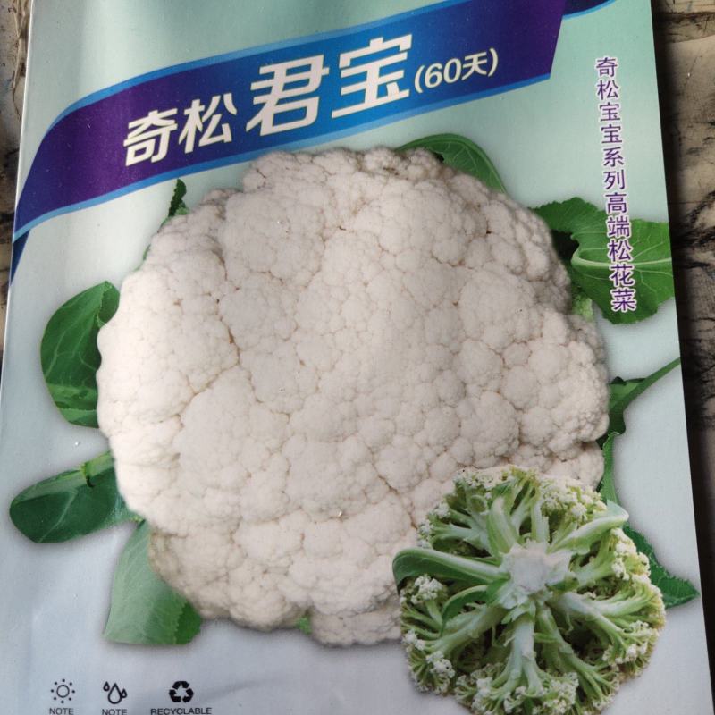 奇松君宝花菜种子，60天杂交品种，